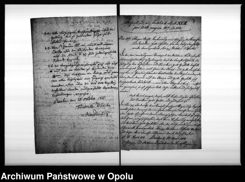 Obraz 6 z jednostki "Acta Generalia vom Vorspann-Wesen Vol. I de anno 1810"