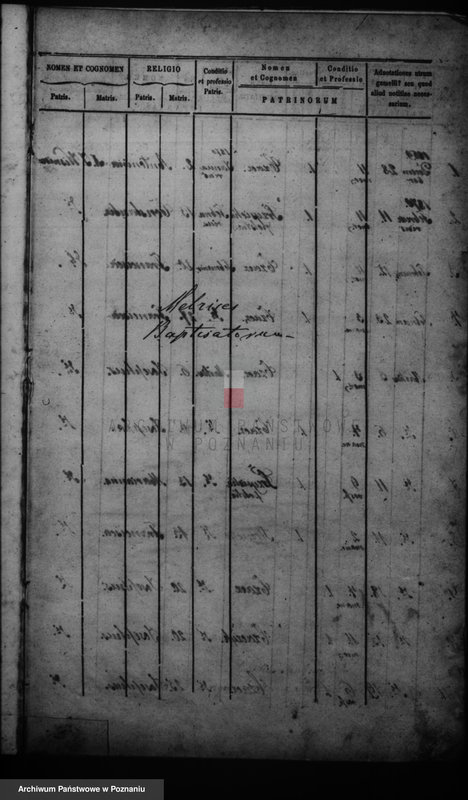 Obraz 3 z jednostki "Duplikat baptisatorum, copulatorum, mortuorum"