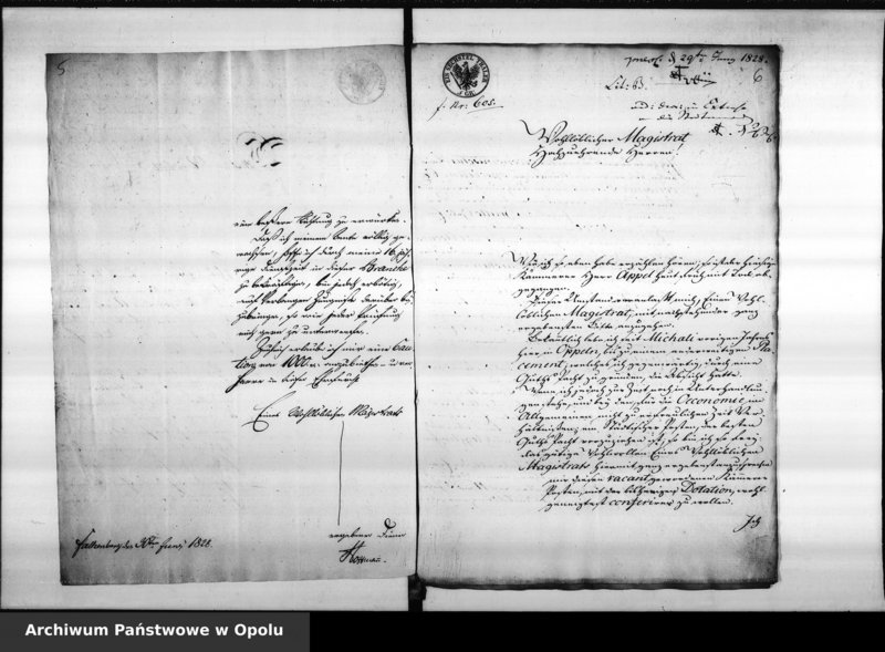 Obraz 8 z jednostki "Acta des Magistrats zu Oppeln betreffend die Besetzung des vacanten Secretair und Registrators Postens. de anno 1828"