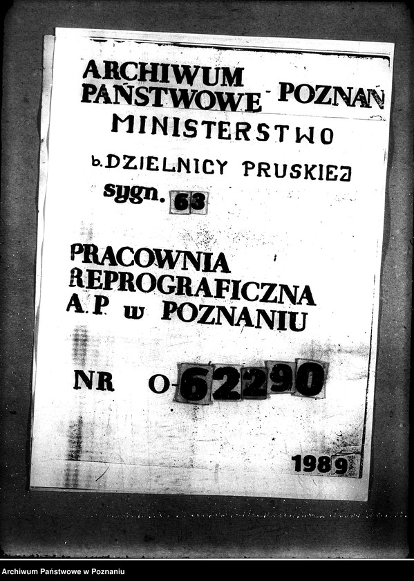 Obraz 10 z jednostki "Sprawy szczegółowo-administracyjne Szkody wojenne p. Leszno"