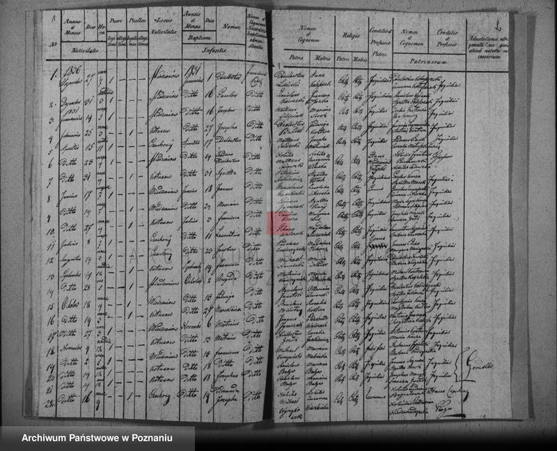 image.from.team "Akta stanu cywilnego Parafii Rzymskokatolickiej Droszew (pow. ostrowski)"
