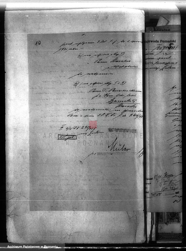 image.from.unit.number "Majętność leśna Lutom w powiecie międzychodzkim"