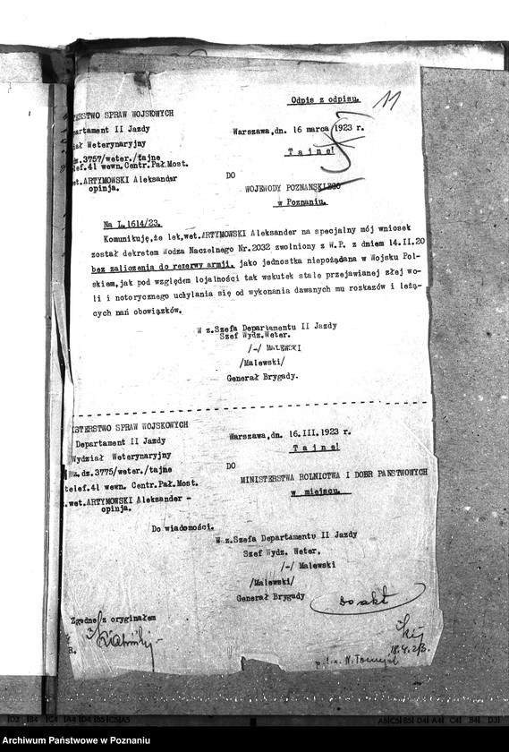 Obraz 16 z jednostki "Pow. lekarz Weterynaryjny Nowy Tomyśl"