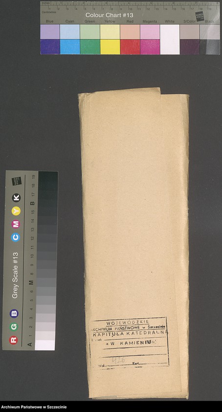 image.from.unit.number "Registrum structuare ecclesiae Caminensis, vol. VII."