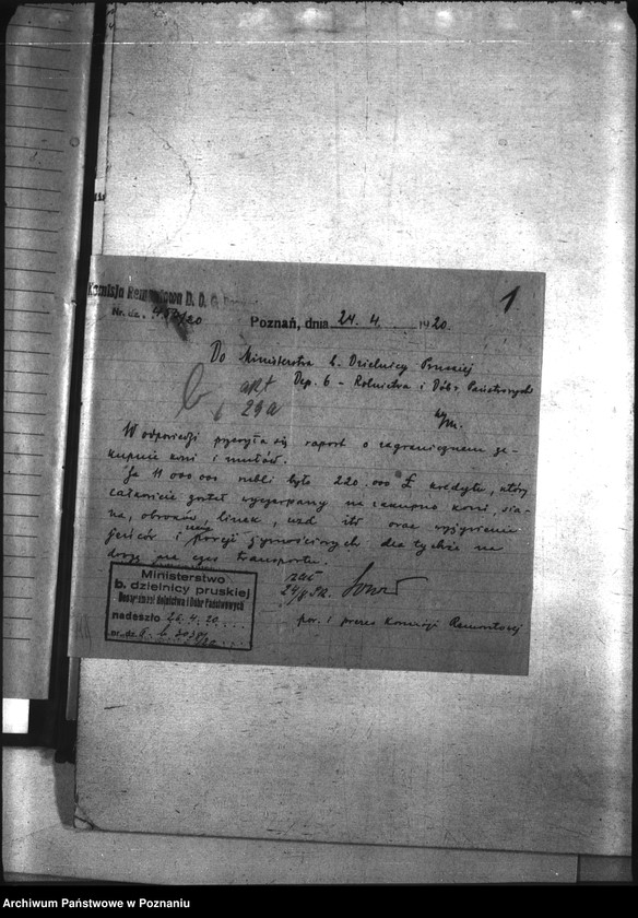 Obraz 5 z jednostki "Przemytnictwo koni"