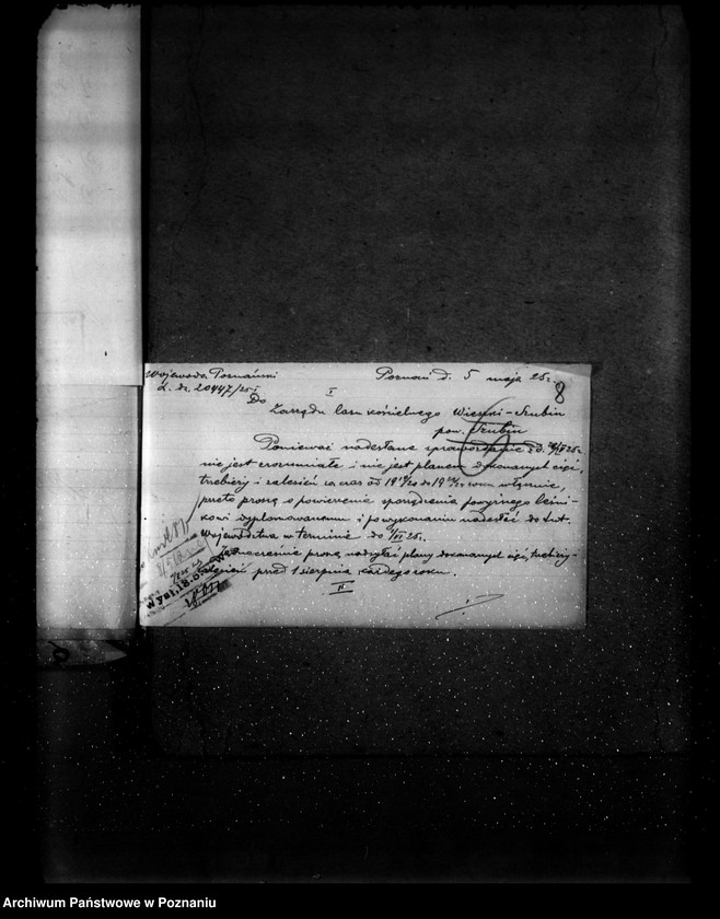 Obraz 12 z jednostki "Gospodarka leśna kościoła katolickiego Wieszki powiat szubiński"