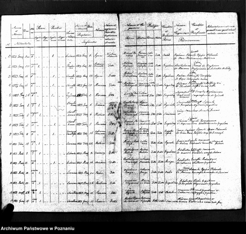 image.from.unit "Duplicatus baptisatorum"