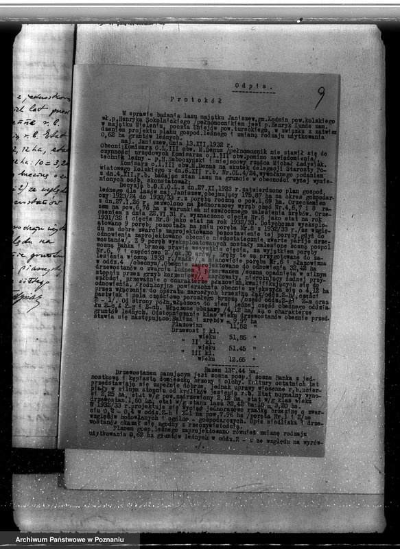 Obraz 13 z jednostki "Zatwierdzenie projektu planu gospodarstwa leśnego dla lasów majątku Janiszew powiat kolski"