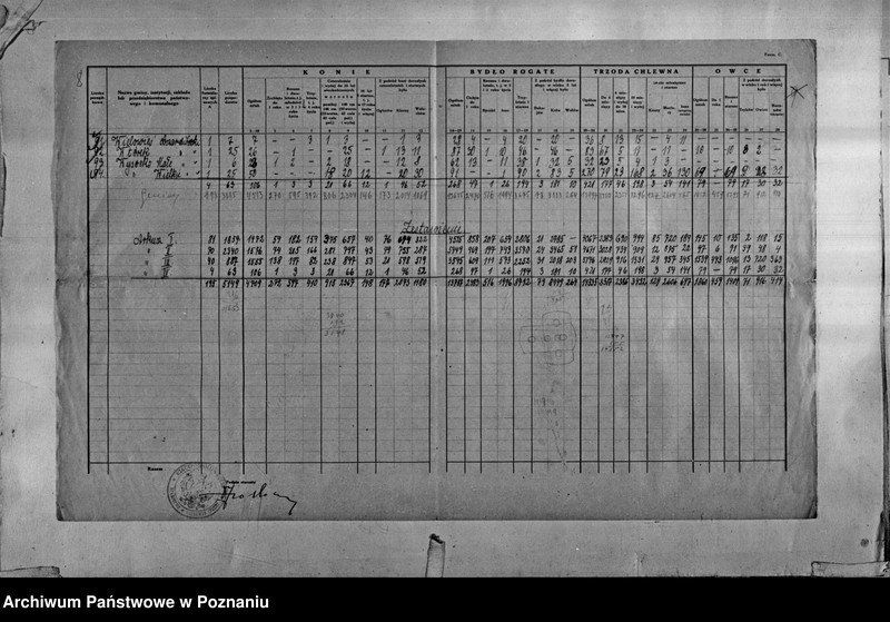 Obraz 9 z jednostki "Spis koni, bydła, trzody chlewnej i owiec - zestawienie z terenu powiatu ostrowskiego"