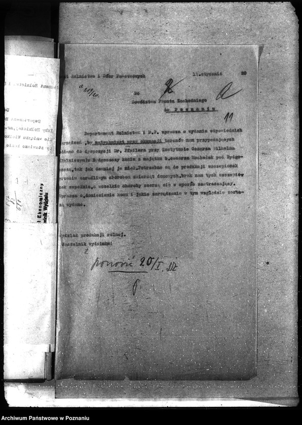 Obraz 15 z jednostki "Instytut Higieny Zwierząt w Bydgoszczy"