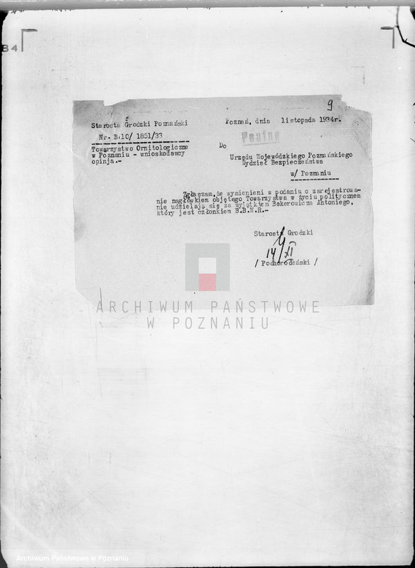 Obraz 15 z jednostki "/Towarzystwo Ornitologiczne w Poznaniu/"