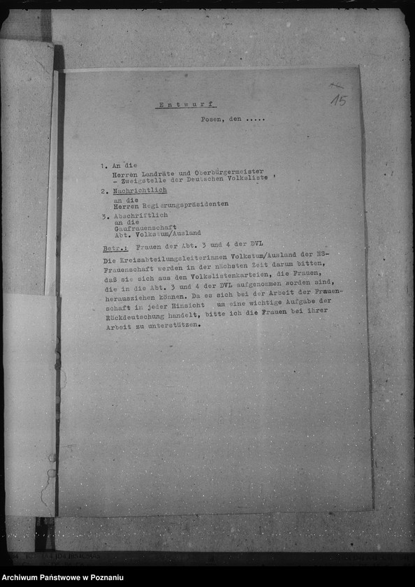 Obraz 19 z jednostki "Angehörige der Abteilung IV. und III. In der Landwacht"