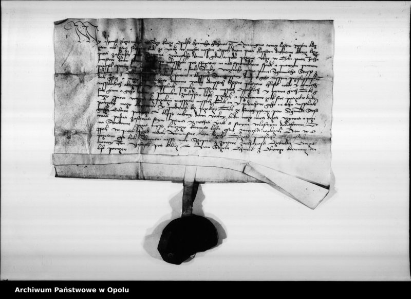 Obraz 8 z jednostki "Jan książę na Śląsku, Opolu, Głogówku etc. potwierdza tytuł własności Zygmunta Stoss