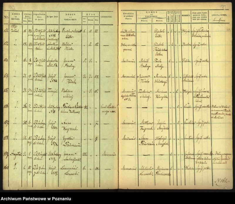 Obraz 19 z jednostki "Księga zgonów"