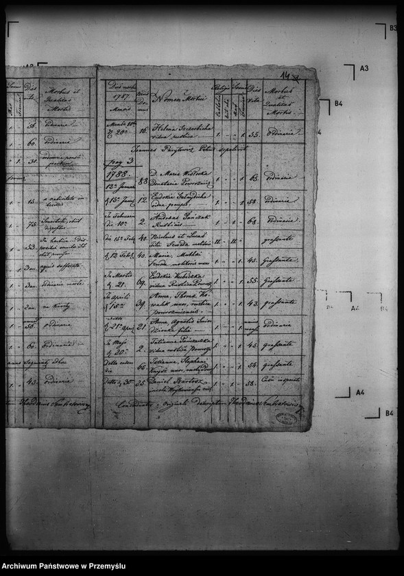 Obraz 18 z jednostki "[Kopie ksiąg metrykalnych parafii Powroźnik (dekanat Muszyna)]"