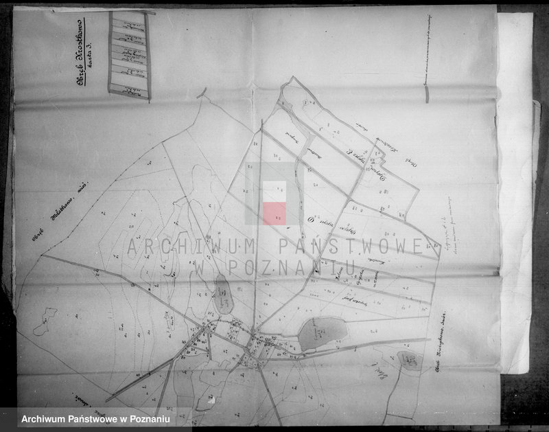 Obraz 9 z jednostki "Majątek Jeziorki Kosztowskie powiatu wyrzyskiego wyłączenie z art. 4/5 ustawy o wykonaniu reformy rolnej Ernst Buttner"