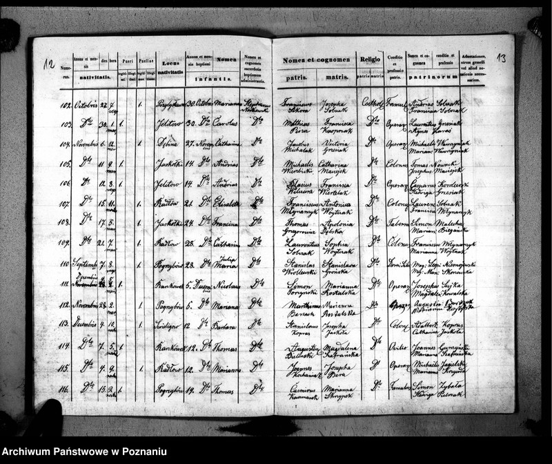 image.from.unit.number "Duplikat urodzonych, zaślubionych, zmarłych"