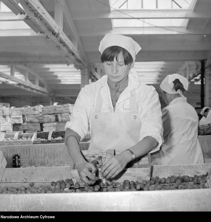 image.from.unit.number "Zakład produkcyjny Przedsiębiorstwa Handlu Zagranicznego "Hortex" w Górze Kalwarii"