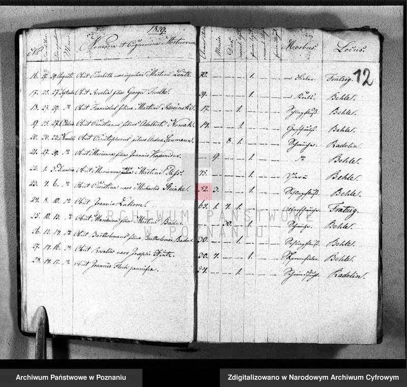 image.from.unit.number "Księga małżeństw, urodzeń i zgonów"