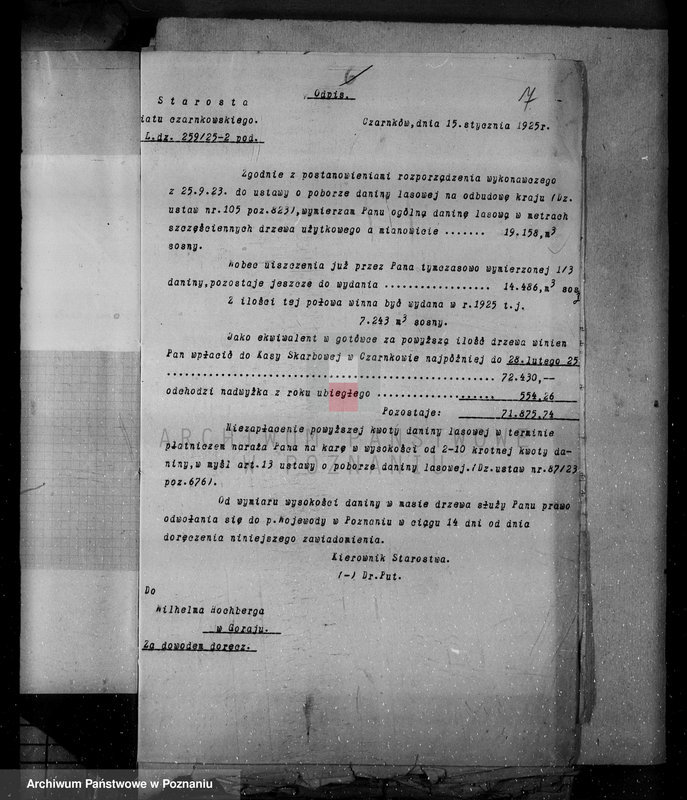 Obraz 11 z jednostki "Majętności leśne w Krucz-Goraju w powiecie czarnkowskim"