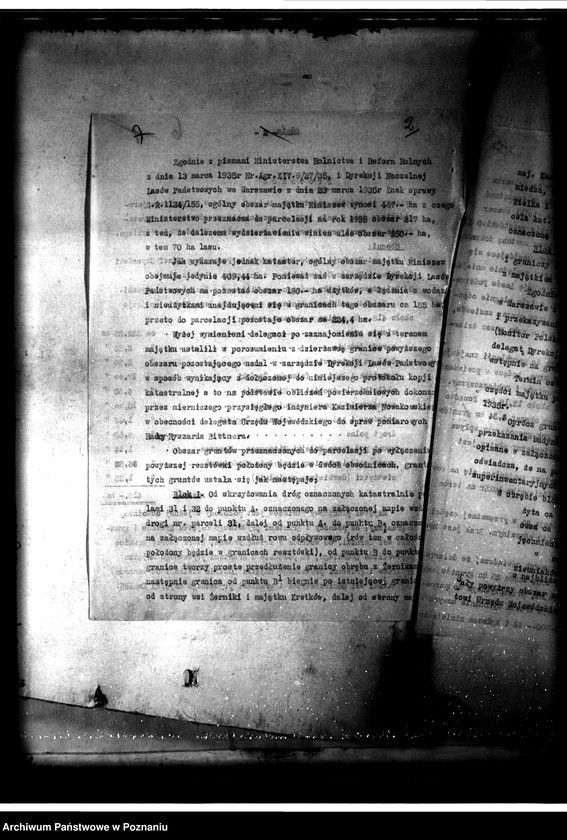 Obraz 10 z jednostki "Parcelacja majątku Miniszew"