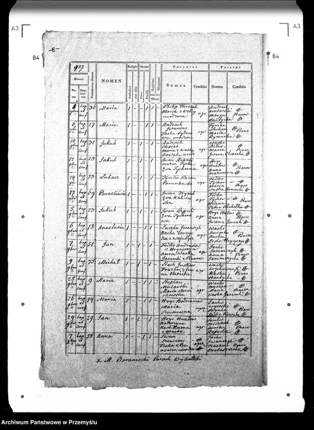 Obraz 12 z jednostki "[Kopie ksiąg metrykalnych parafii Wykoty (dekanat Sambor)]"