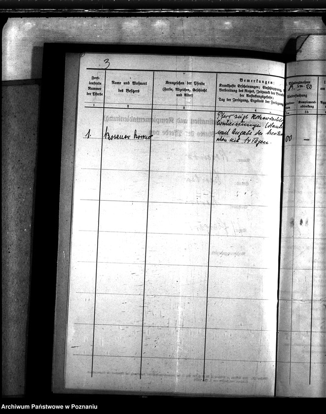 Obraz 7 z jednostki "Nosacizna - Starogard"