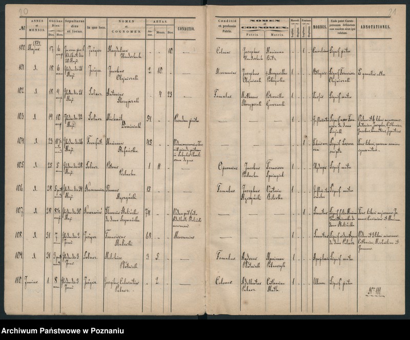 Obraz 13 z jednostki "Księga zgonów"