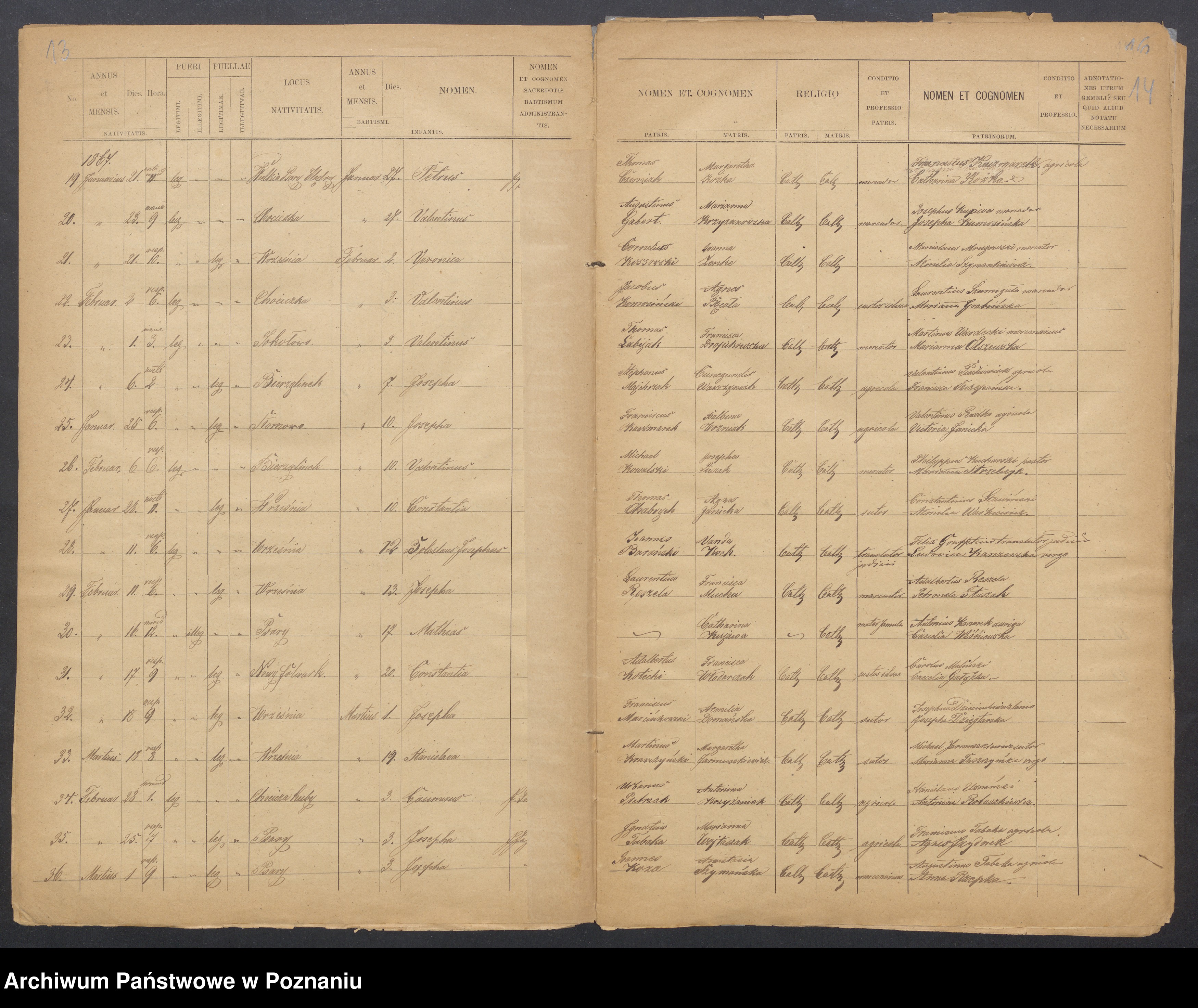 Skan z jednostki: Liber Duplicatus Baptisatorum, Copulatorum et Mortuorum [urodzenia, małżeństwa, zgony]