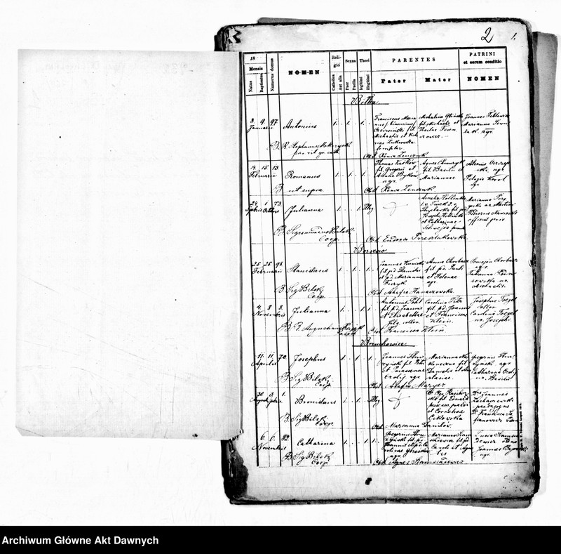 image.from.unit.number "Parafia: Przemyślany. Dekanat: Świrz. Kopie z ksiąg metrykalnych ur., śl., zg. dla miasta Przemyślany i wsi: Biłka, Borszów, Brykoń, Brzuchowice, Czupernosów, Krosienko, Ładańce, Meryszczów, Pletenice, Pniatyn, Psiworogi, Uniów, Uszkowice, Wołków, Wypyski."
