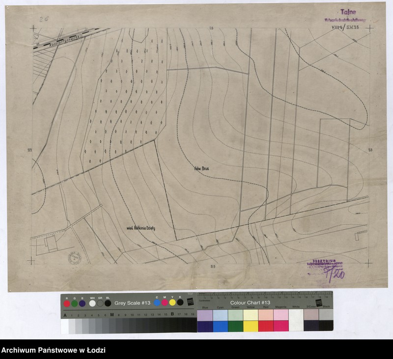 Obraz 1 z jednostki "Plan m. Łodzi 1:2000. Sekcja SW26"