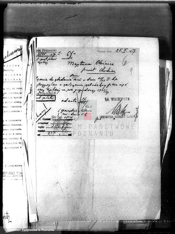 Obraz 13 z jednostki "Majętność leśna Oleśnica w powiecie chodzieskim"