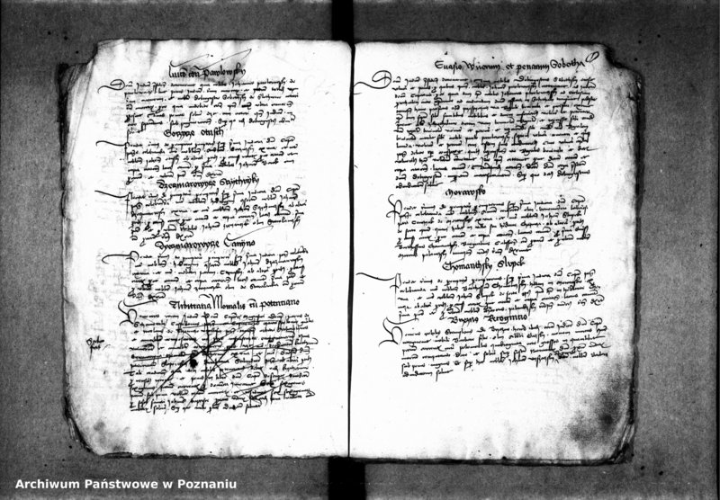 Obraz 12 z jednostki "Inscriptiones, relationes, decreta [protocollon]"