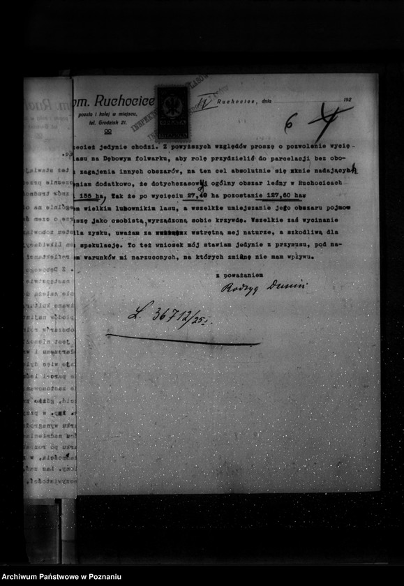 Obraz 10 z jednostki "Majętność leśna Ruchocice powiat wolsztyński"