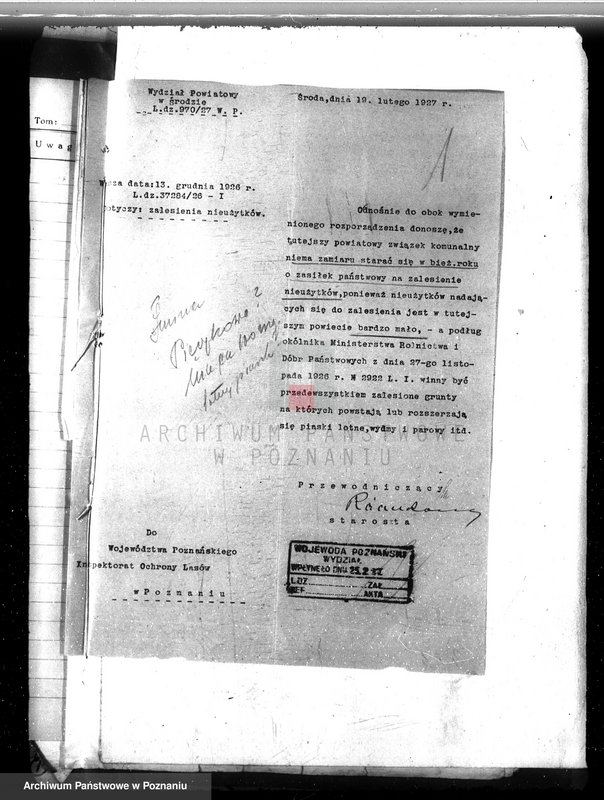 Obraz 5 z jednostki "Zalesienie nieużytków w powiecie średzkim"