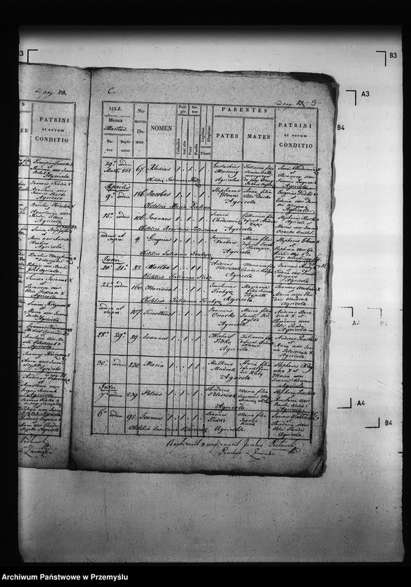 Obraz 9 z jednostki "[Kopie ksiąg metrykalnych parafii Zawadów (dekanat Niemirów)]"