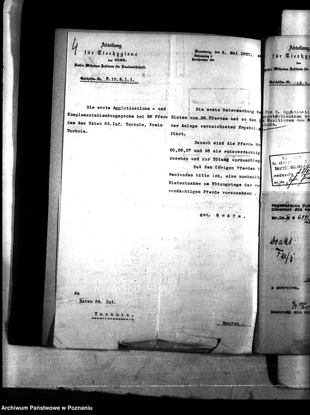 Obraz 8 z jednostki "Nosacizna - Tuchola"