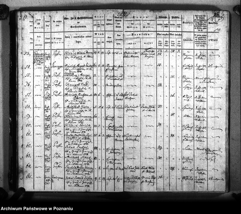 Obraz 13 z jednostki "Sterbenbuch"