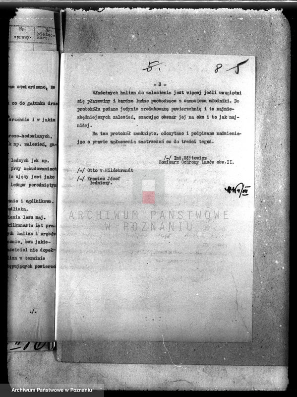 Obraz 12 z jednostki "Las majątku Borowy Młyn powiat międzychodzki"