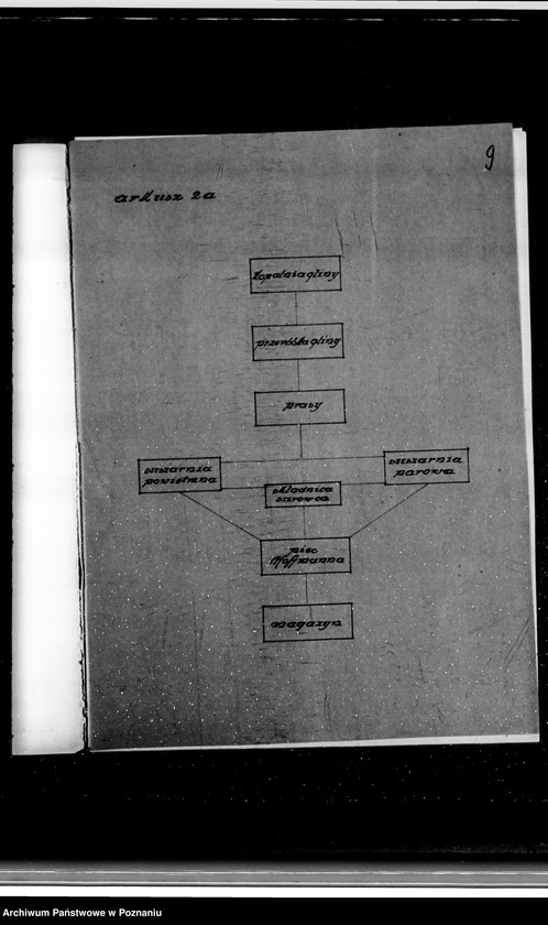 Obraz 13 z jednostki "Kwestionariusz Przemysłu Ziemniaczanego Lubań-Wronki S.A. Cegielnia w Stawie /powiat wrzesiński/"