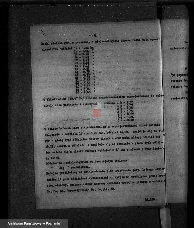 Obraz 9 z jednostki "Majętność leśna Uzarzewo powiat poznański"