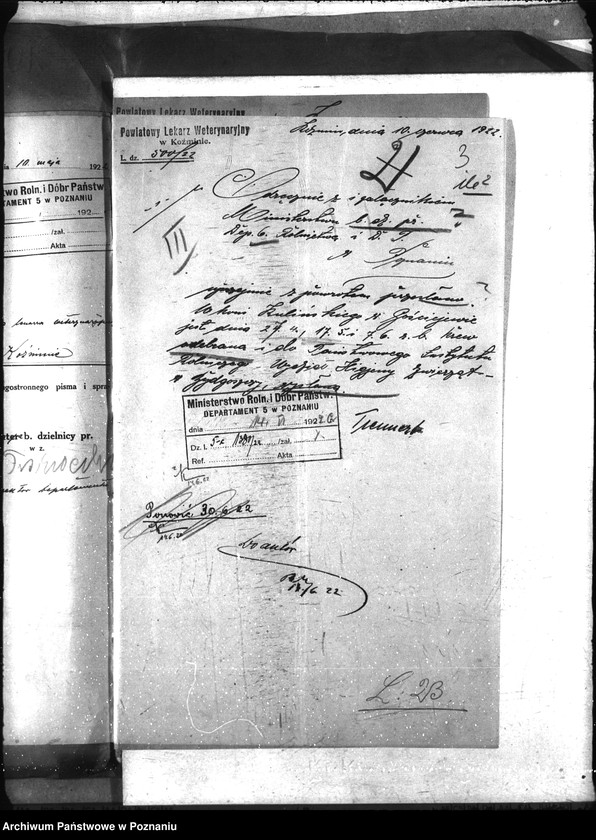 Obraz 7 z jednostki "Nosacizna - Koźmin"