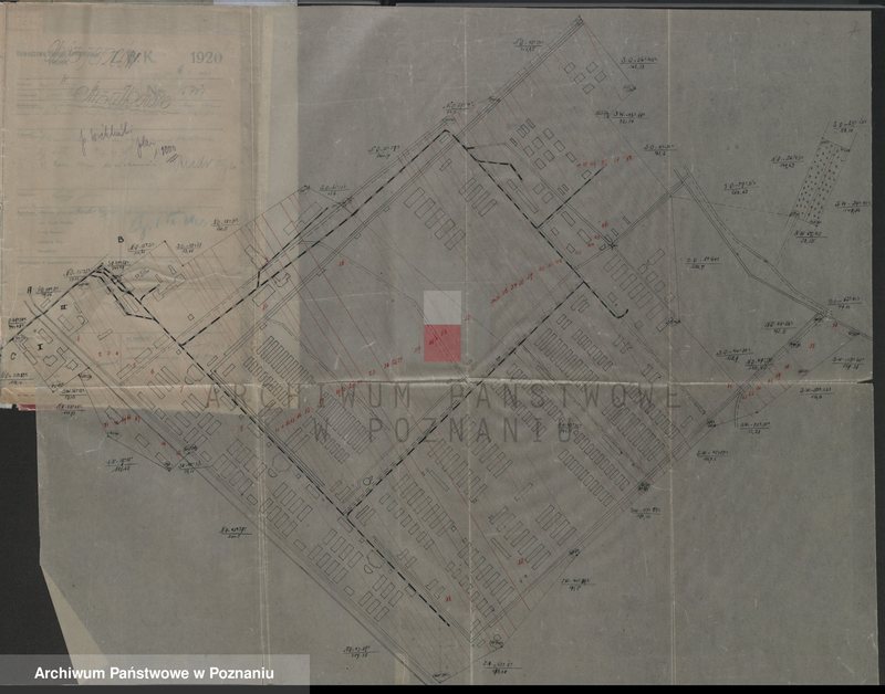 image.from.unit.number "Odrenowanie obozu jeńców w Strzałkowie"