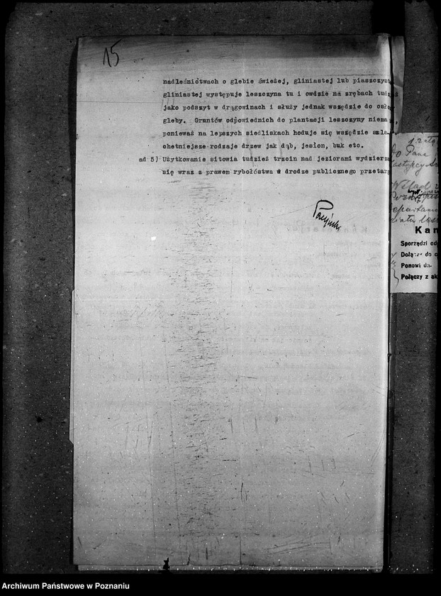 Obraz 20 z jednostki "Nieużytki rolne"