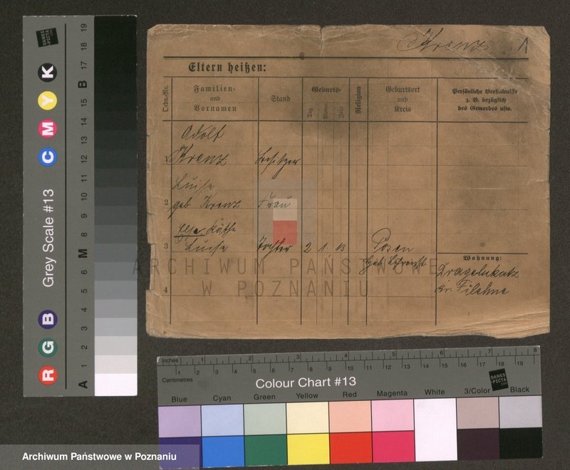 Obraz 1 z jednostki "Krenc - Krężelewski"