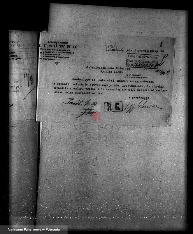 Obraz 12 z jednostki "Zarząd majętności Lusówko powiat poznański/ nadzór nad gospodarką leśną/"