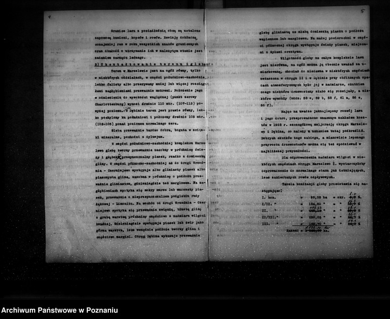 Obraz 7 z jednostki "Ogólny opis lasu majętności Września (plan cięć i plan urządzenia gospodarstwa leśnego)"