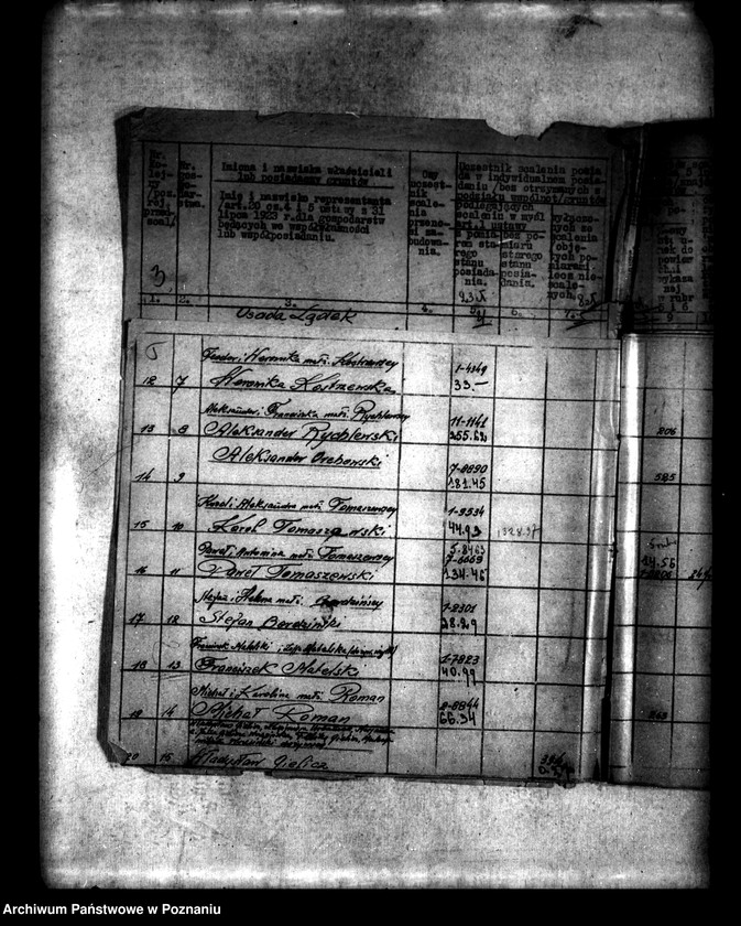 Obraz 9 z jednostki "/Scalenie gruntów we wsi Lądek powiatu konińskiego/"