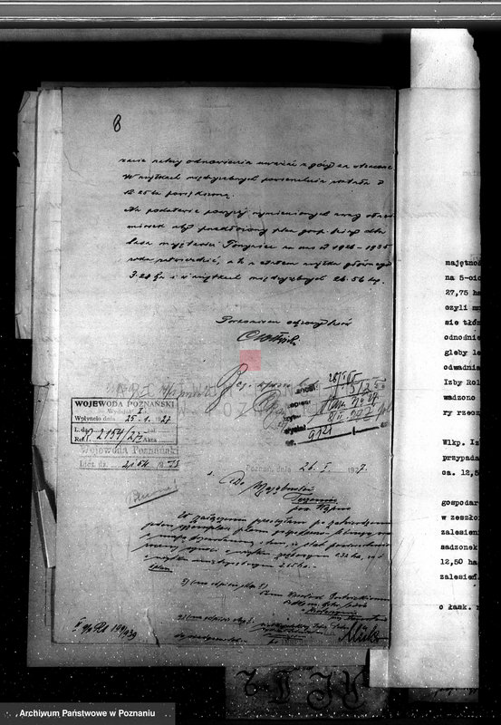 Obraz 12 z jednostki "Nadzór nad gospodarką w lasach majętności Torzeniec powiat kępiński"