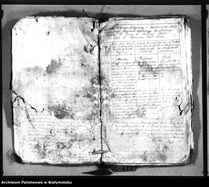 Obraz z jednostki "Metryki chrzestne Siemiatyckiego Dekanatu [extrakty z ksiąg metryczych kościołów parafialnych w: Siemiatyczach, Ostrożanach, Dołubowie, Mielniku, Niemirowie, Dziadkowicach]"